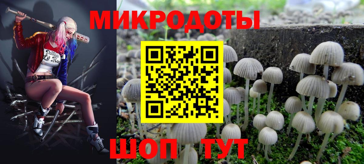 купить наркоту  Вход с VPN  Боровичи  Псилоцибиновые грибы Cubensis 